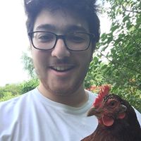 Max Nemhauser的照片