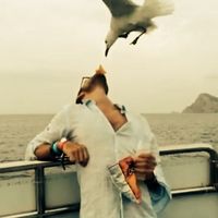 Le foto di Samuel B.