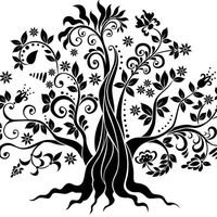 Martina Zan的照片