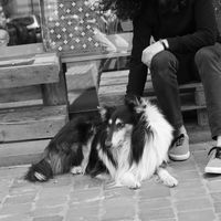 Khaled Zead的照片