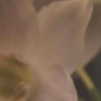 Dorota Dunat's Photo