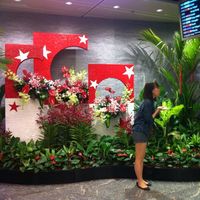 Le foto di Crystal Lim