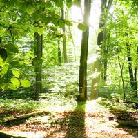 Mr Cloud black's Photo