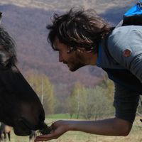 Davide De Cristofaro的照片