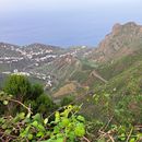 Hiking On Tenerife's picture