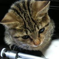 Kentaro Shibamoto's Photo