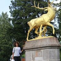 Adriana Alves's Photo