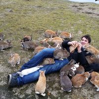 Dino Santic的照片