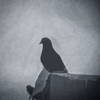 Luis Martínez's Photo