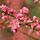Thao Nguyen's Photo