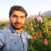 Adnan Seddighi's Photo