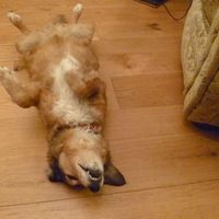 Fotos de hiroaki tanaka