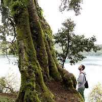 Ignacio de la Vega's Photo