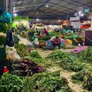 Mercado nocturno De Hierbas Medicinales's picture