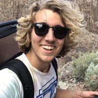 Phillip Koether's Photo