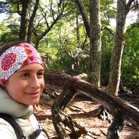 Le foto di camaeleon86