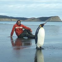 Mario Leonardo  Romero's Photo