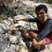 Fotos de George Zaharescu