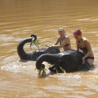 Danielle Rasmussen's Photo