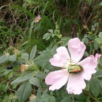 alessia margutti's Photo