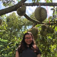 Le foto di Ploy Rungrang