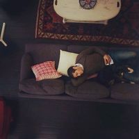 Musa Bashir的照片