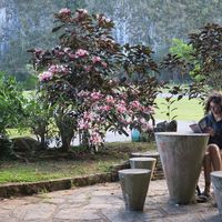 chiara altana's Photo