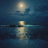 Фотографии пользователя Calyne Cox