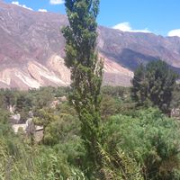 Photos de Natalia Romero