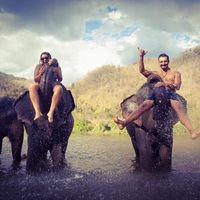 Sara & Omar  Ramirez's Photo