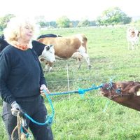 Eva Stenström的照片