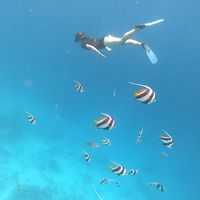 Yoana Santesteban的照片