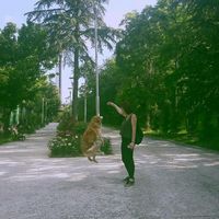 zeynep kıyak's Photo