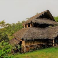 Proyecto Ocelote's Photo