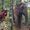 Diego Arancibia's Photo