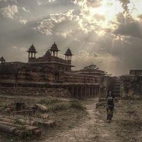 Miles Williams's Photo