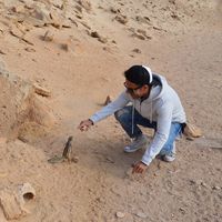 Le foto di David  Del Bianco