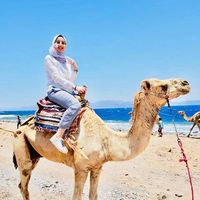 Photos de Sarah Khattab