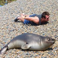 Romain Alexander's Photo