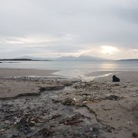 Maia Deleau的照片