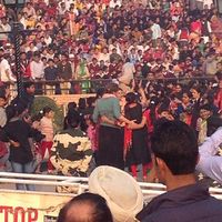 Sarah Germain's Photo