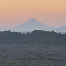 Momotombito Hike's picture