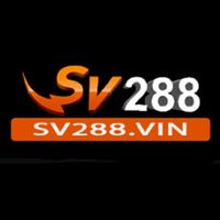 SV288 Vin's Photo
