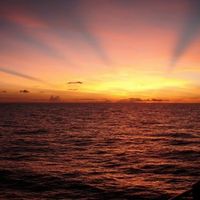 Michael Coelli's Photo