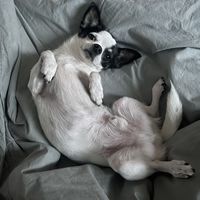 Fotos von Sara Julium