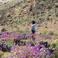 Nadia Moncada's Photo