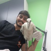 Taha Berk Taşpınar's Photo