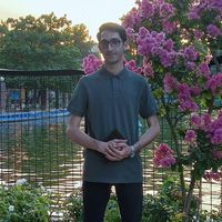 Milad Kazemi的照片