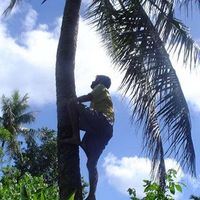 Garrett Johnson的照片