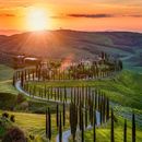 Visit Siena from Florence In One Day
's picture